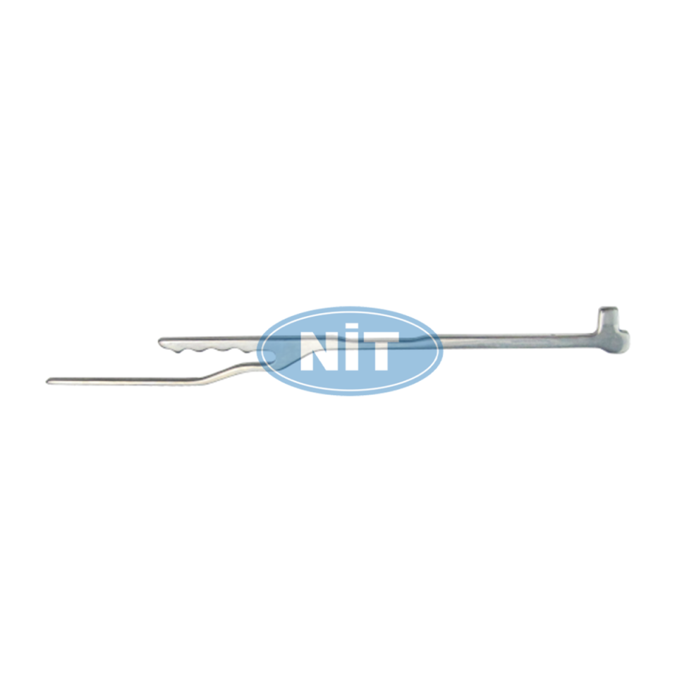 Çatal Platin 6G