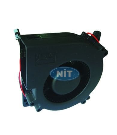 Fan Salyangoz
