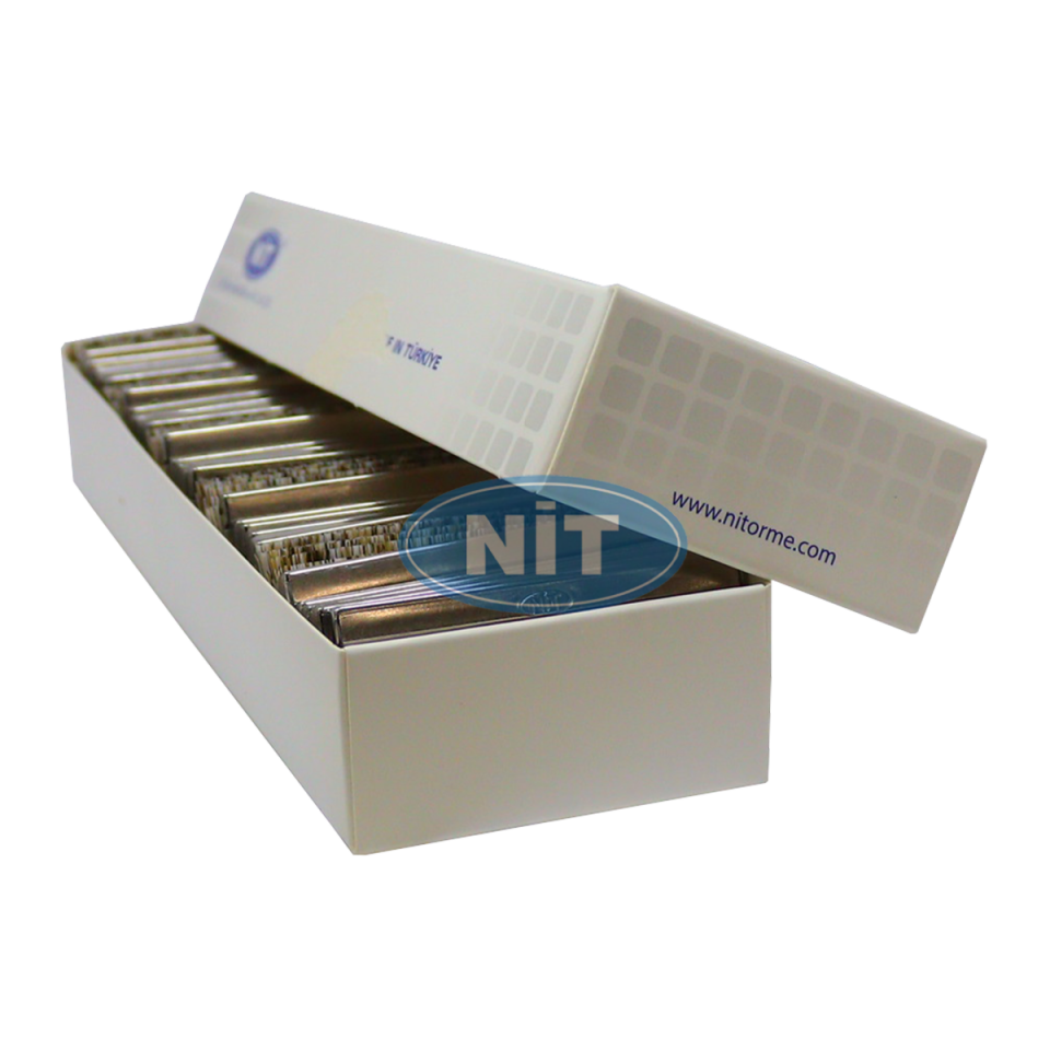 Fırça 7G SV (60x30) (Yedi Kademeli)